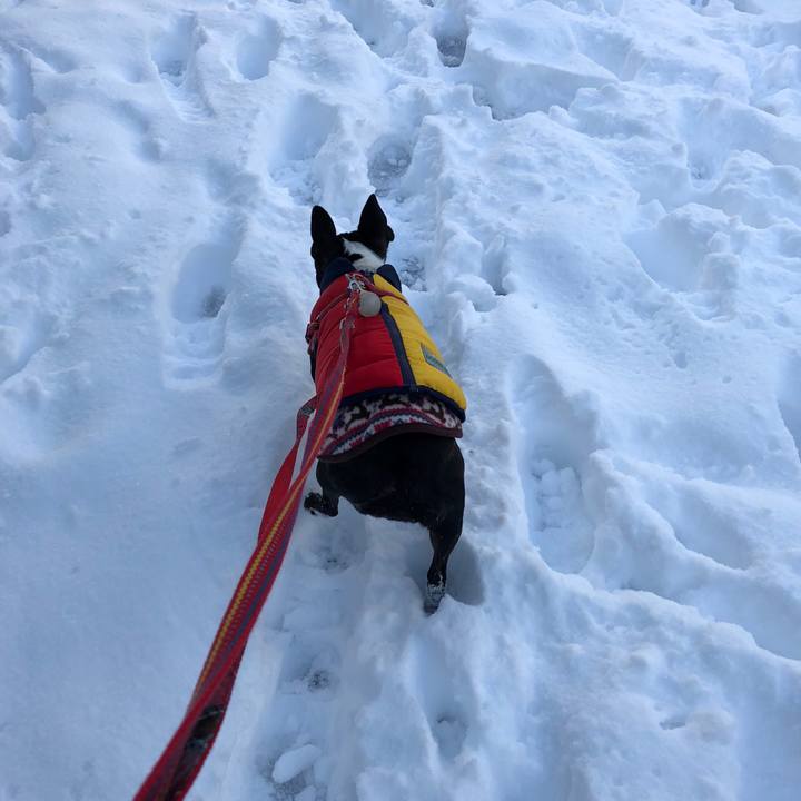 5947fb48 52fe 49d6 88c6 aa7c1df4f0f5 1516664371610