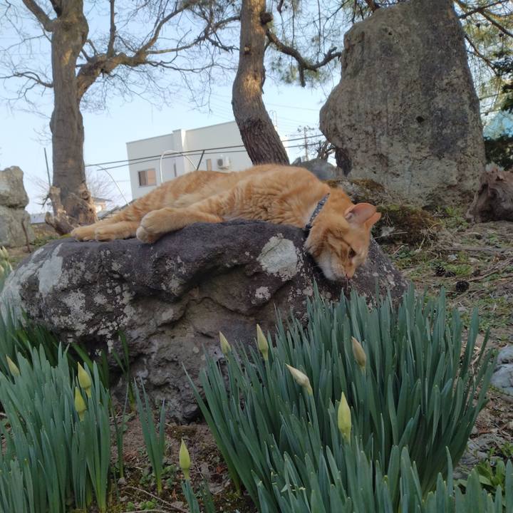 59481940 44f3 4618 984a 20030c1c735e 1680595119907