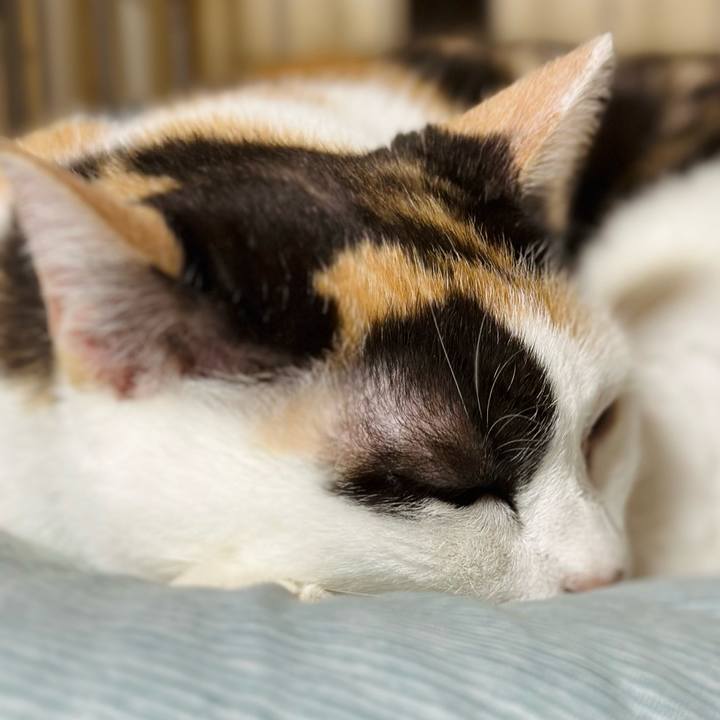 59483f11 c1c1 4f22 a8da 5b9fe24aa8bd 1694828614179