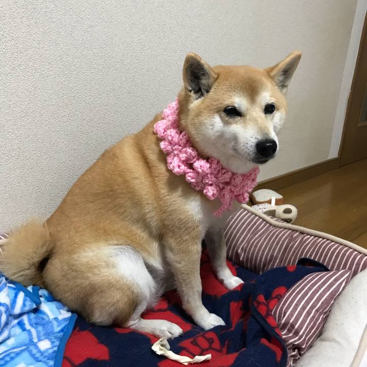 594852ba 6b8e 4b29 8266 5931a69aa934 1547638037495