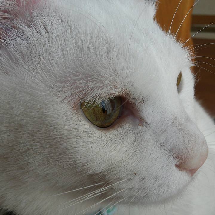 59486672 2521 4356 b814 553652fed738 1521265763321