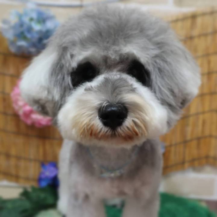 59493c18 3709 4bbc bd4b 1c83fd27932f 1625152790617