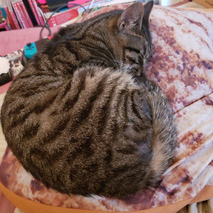 59499ad1 76f5 463f ae5c e7ed1caa4772 1557863978544