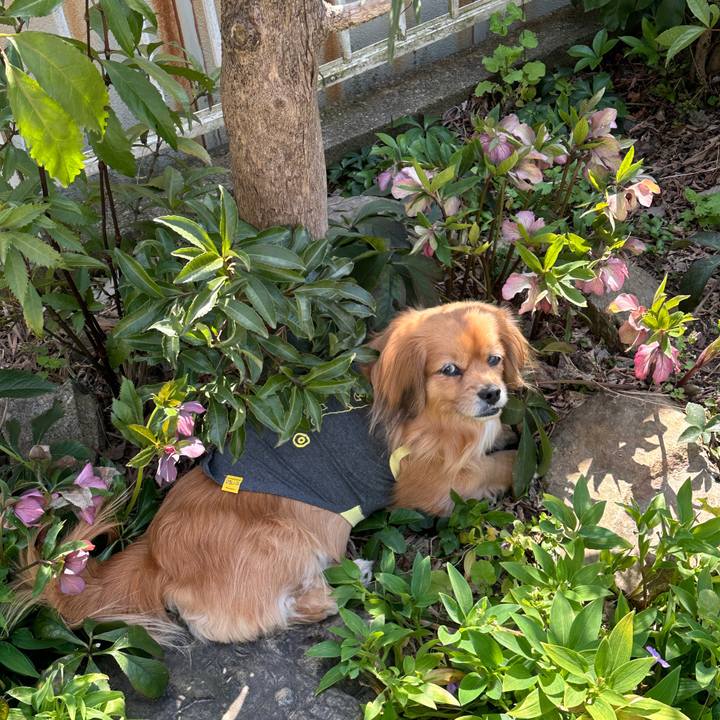 5949bdf2 d67f 4653 8160 b352b2580d3b 1710554221174