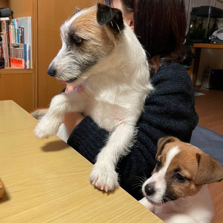 5949c0ac a6f0 432d a210 2c93c0777d9a 1615893119998