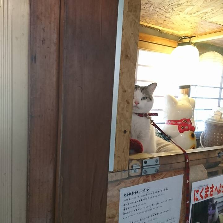 5949c3a4 0301 4cd1 8704 b8c16af120f0 1520658706117