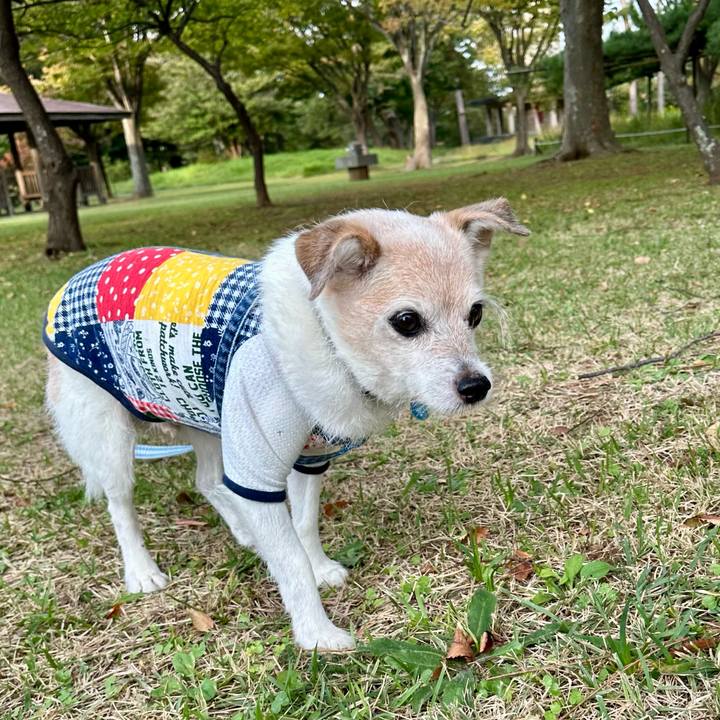 5949f950 9bbf 4dd8 ad4a ddd1ceeb823f 1760349632632