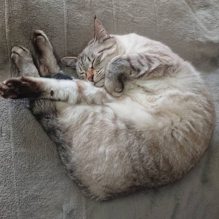 594a2ef2 05e0 47a3 840c 57c6251c7577 1574562919292