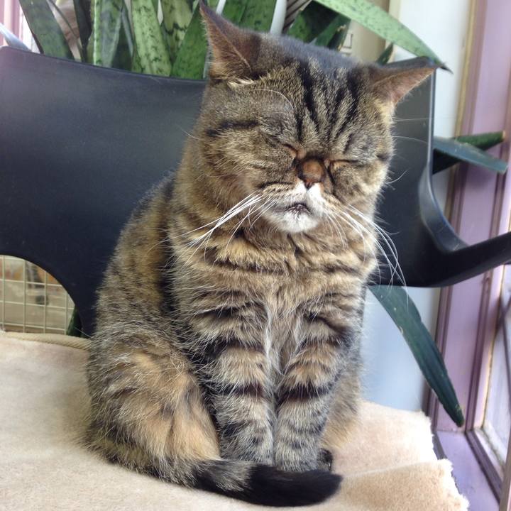 594a451e c9dc 425b 93c3 1e15001c780e 1512611907462