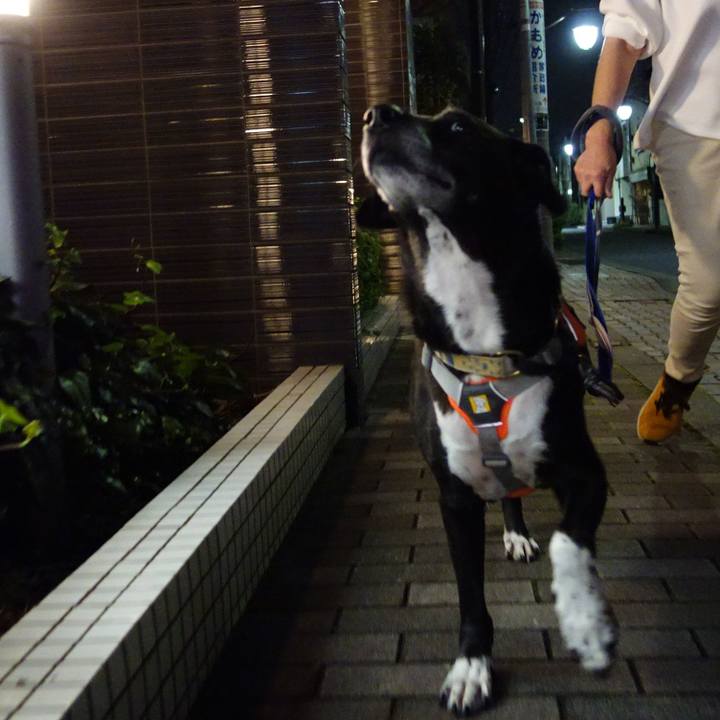 594a5386 b94a 435e 9a47 ff313dca5dba 1730113752500