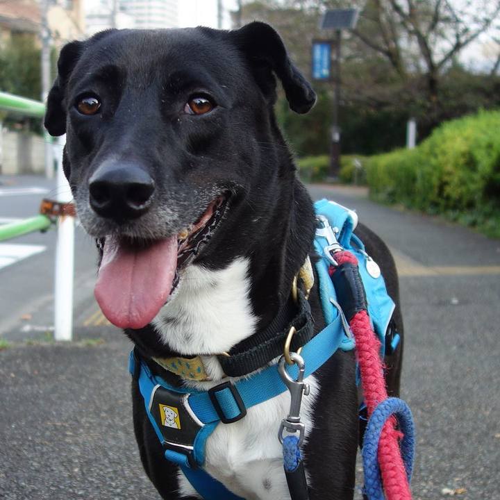 594a77f4 2059 4d4d 9f85 e5a97de8f4b6 1633734434839