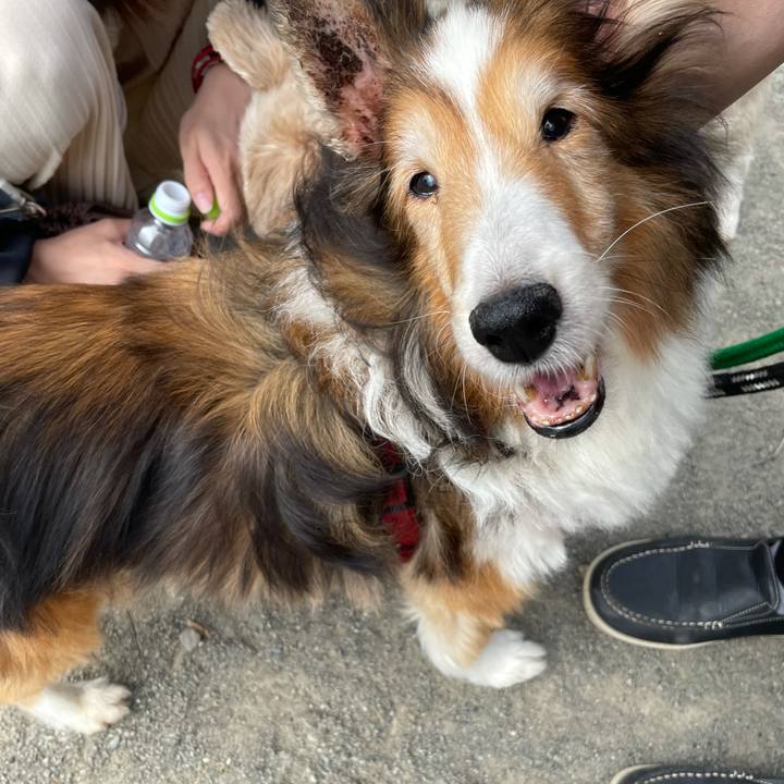 594afd21 52b6 4034 bfb4 1e2b35a4da26 1633343747738