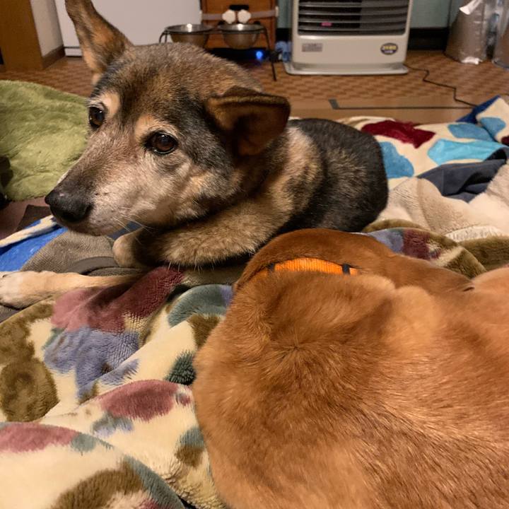 594b14fb 3347 4a69 9922 5cf03253ffdb 1575234243240