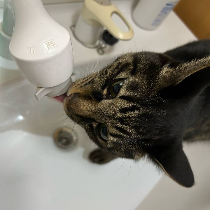 594b2022 12f7 41bd ab0d 45dbea71dbc2 1740322775996