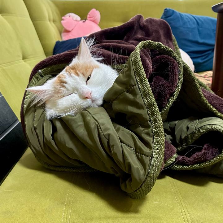 594b4f75 8ed7 49cd 8f02 7d19c2dfb27b 1771558689093