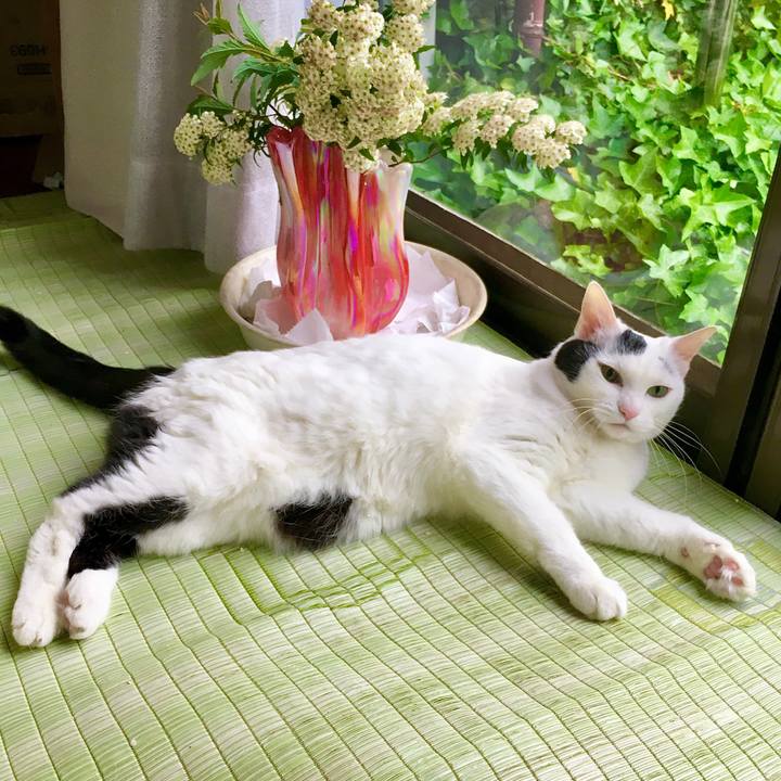 594b64a6 63f9 43a4 95ab 406afe752bd2 1589956462597