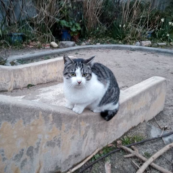 594bda85 8818 42d1 b20f 4ba78c4afce8 1550664004756