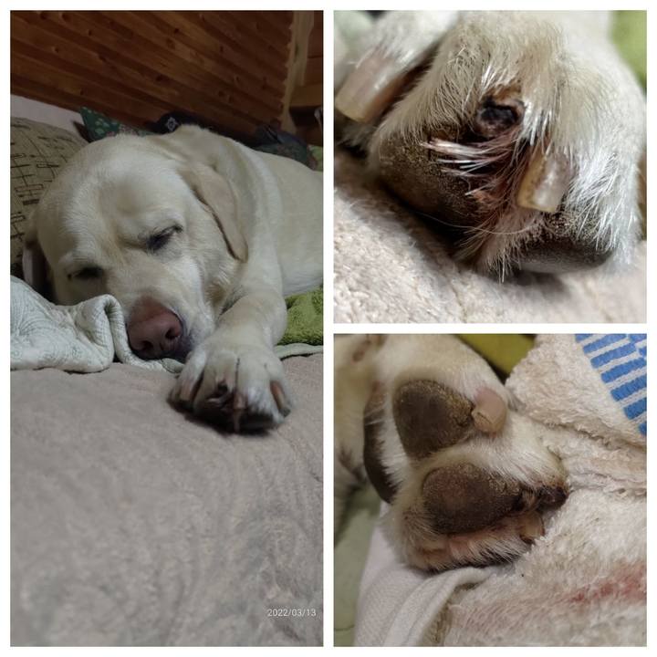 594bdf76 d812 46c6 a09c c7140626c207 1647180302692