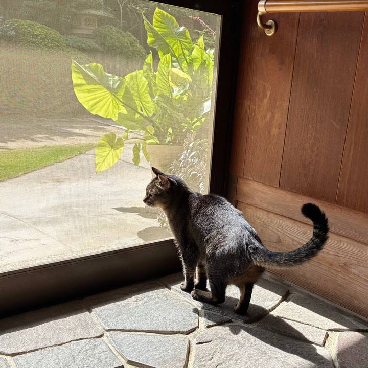 594be08b b07b 45a9 bb92 c69a0dd16696 1762221642728