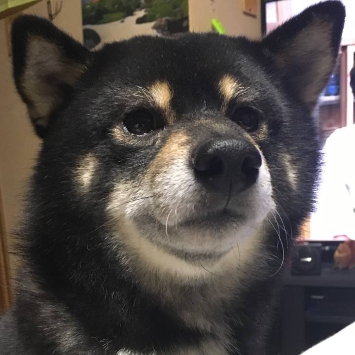 594c0675 07f4 4d09 aa37 59f18c5b0432 1513768421936