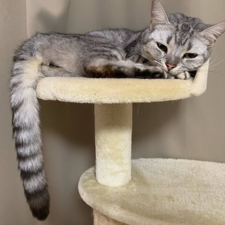 594c1482 17bc 4c40 b79b 576737f8148d 1560133817007