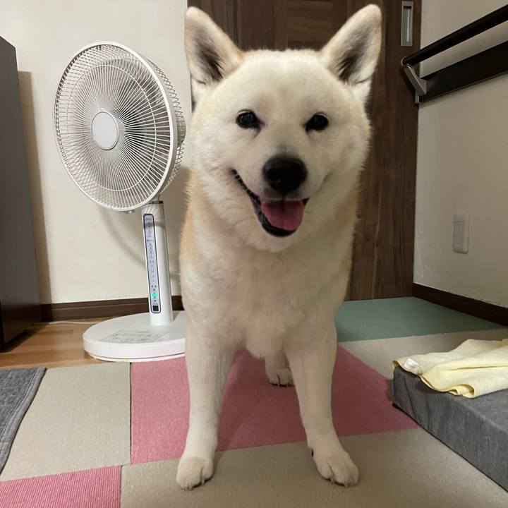 594c21a3 dc3c 459f 8c2e 177f2b16432c 1657077002426