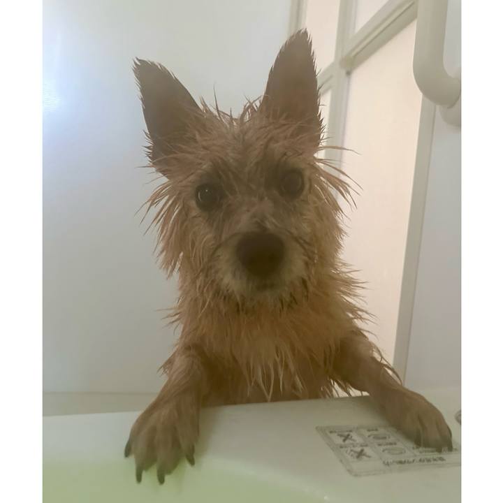 594c3ea6 7b6b 471f 8d36 45e3bdcc1bb3 1713144606488