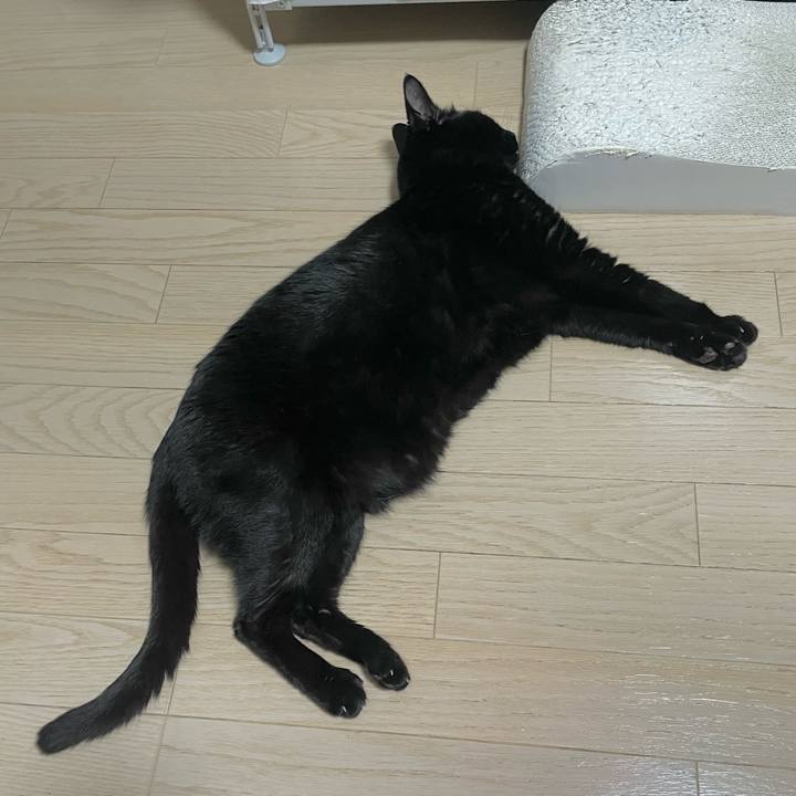 594c583c 3a69 4d93 b655 049608c99b98 1742474786194