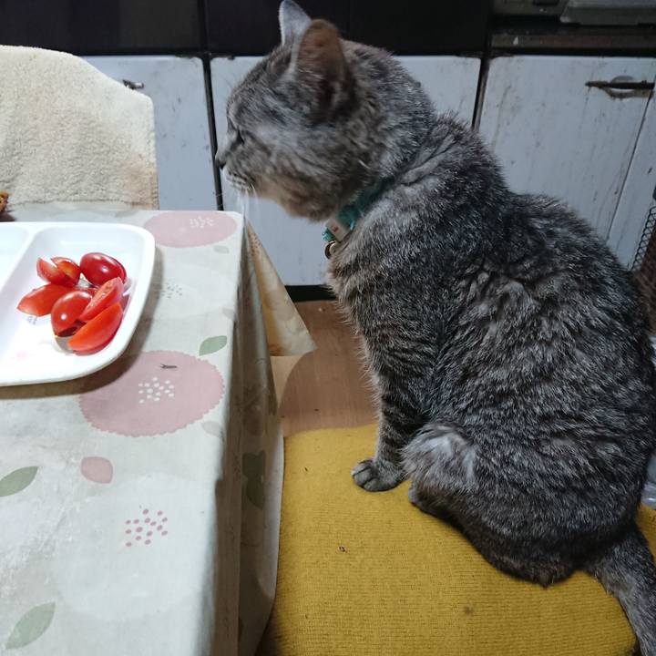 594c89d1 d8a7 45c5 b8d3 5c1661e0493e 1572736115620