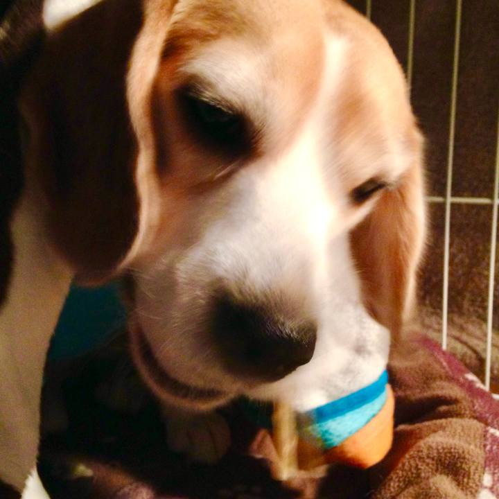 594c8b26 e675 4bdf a5e0 3941e2a84f0d 1770539008555