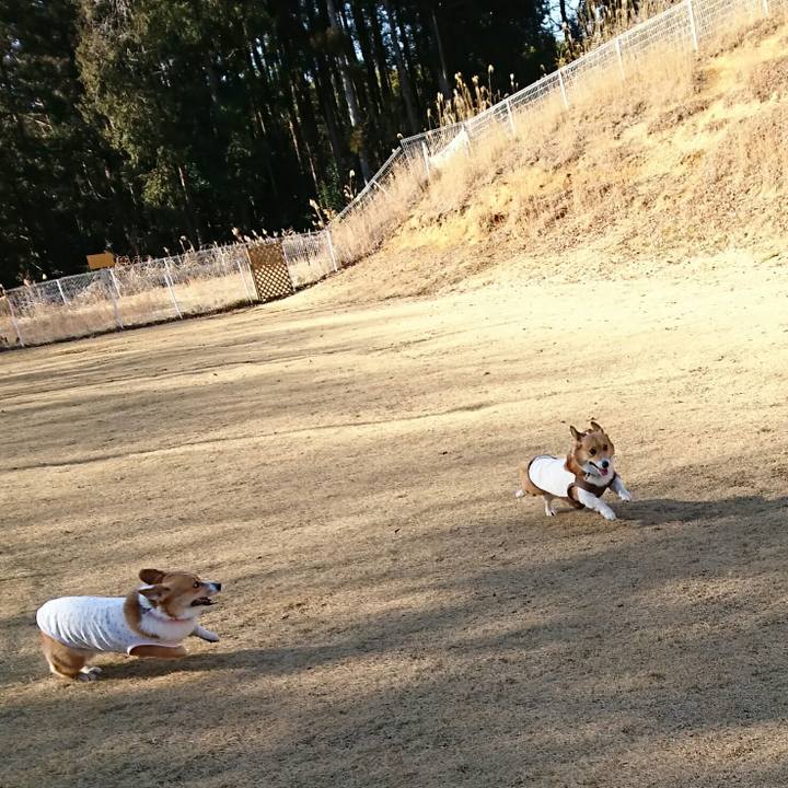 594cab05 21a1 4bef 8e7a bcd9843ac124 1515328765347