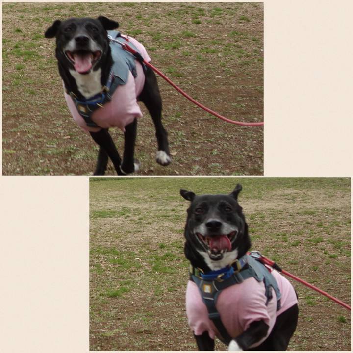 594cabbd e899 4c91 a6ab 8c9bb1cc397e 1709601641339