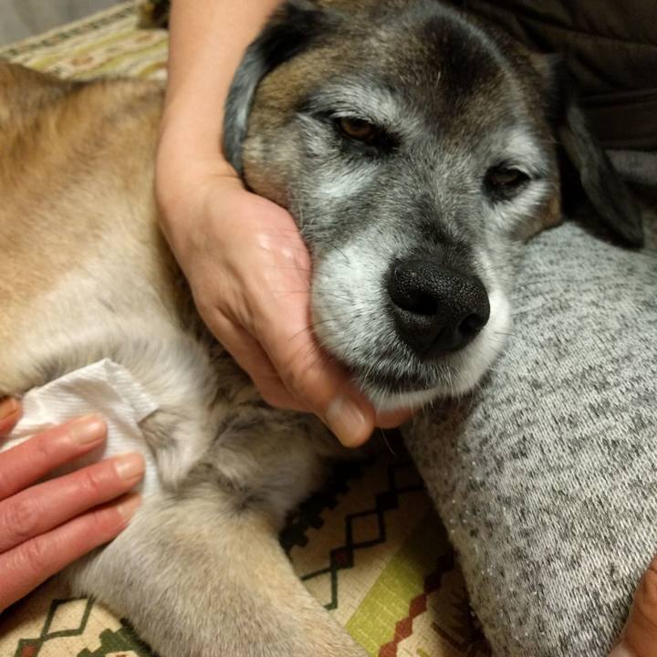 594cbed6 a790 4a40 bcd9 e957e78d0e07 1516455944827