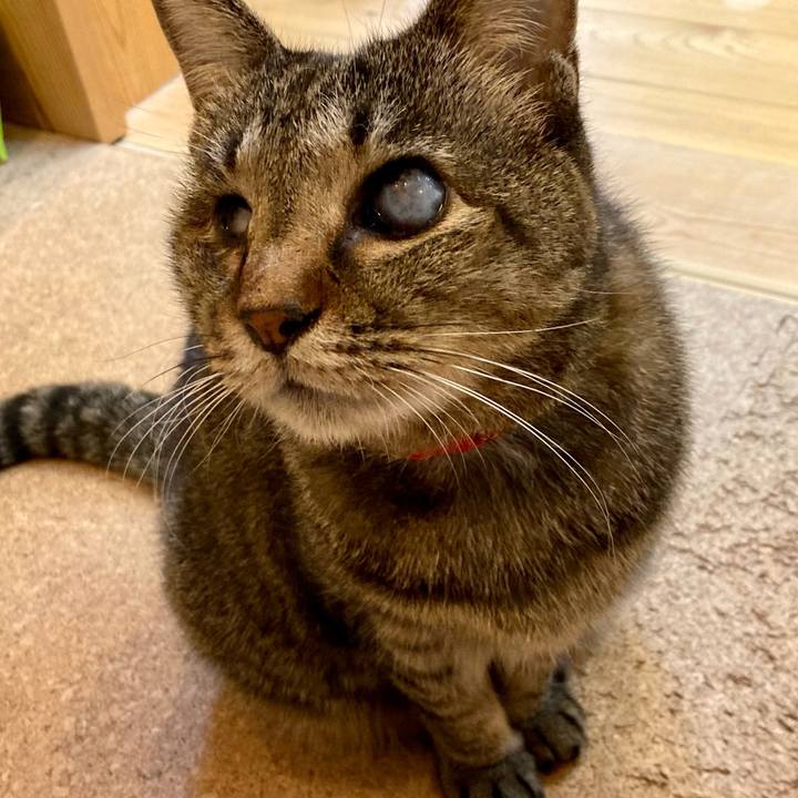 594cd9e9 6025 4716 8fbe 2461e52700ab 1644041028433