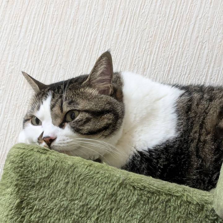 594ce5d8 ba64 4229 8d9e 5b77fddb53a7 1721971605507