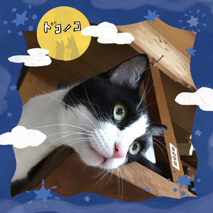 594d1705 770d 4424 9b03 d9eb232828bf 1726903821617