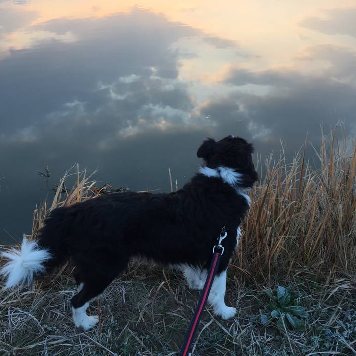 594d28d6 a7b9 4502 bd41 d1688575be1e 1580856038993