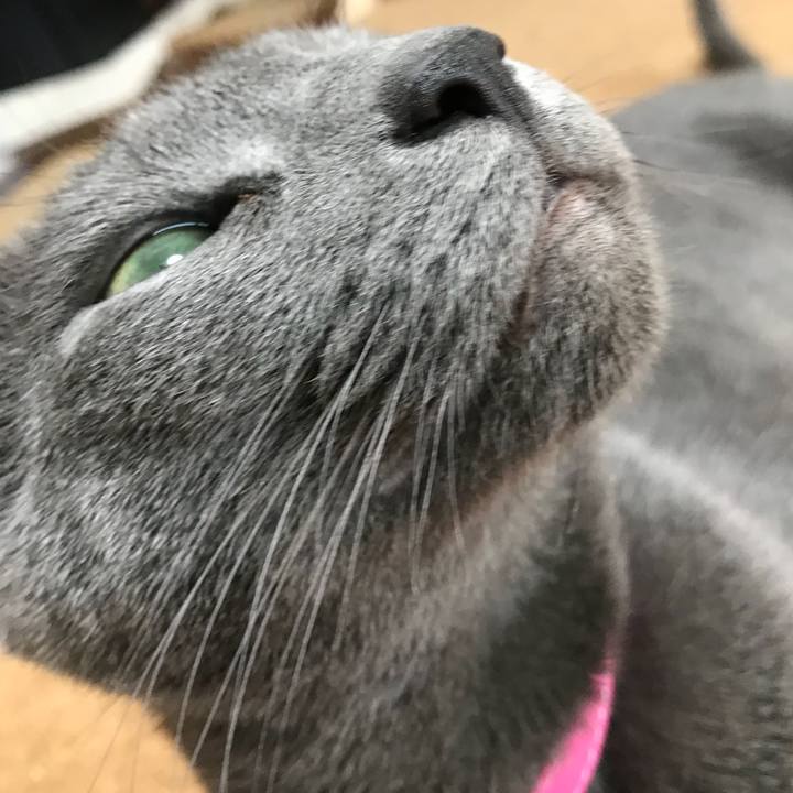 594d5e99 d156 4575 b74a 84a0c0b82b6e 1526104239542