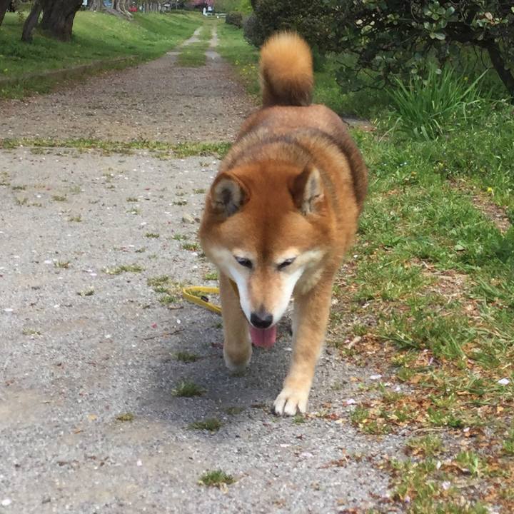 594d827d d0dc 46fa b9d0 793e1ec5d41a 1555569181537