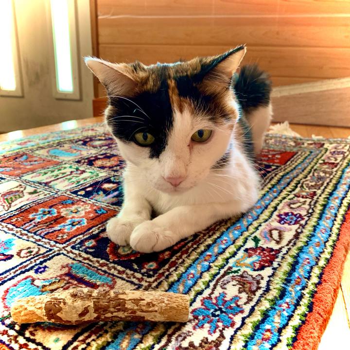 594d97c7 7633 4b2f af98 66263e481871 1629685646153