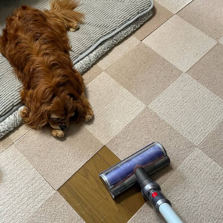 594da25c fd14 4d30 8896 3d7d4b83961c 1747088320417