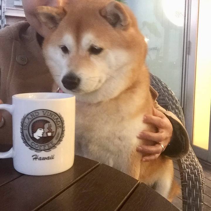 594deb25 ca28 4517 a7dd 93b14faaa221 1576244742517