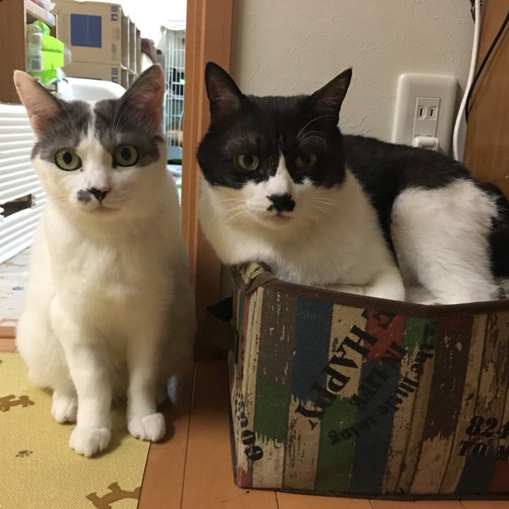 594dfcd1 29e3 4e3a 9554 18b042b6b72c 1580559401176