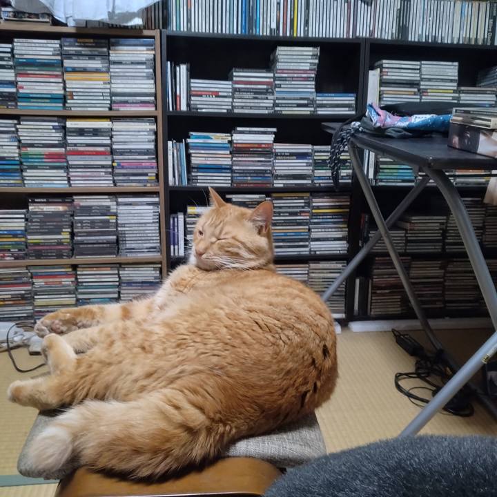 594dfed6 b6f6 450e b91f 047bb9f299b5 1688647460329