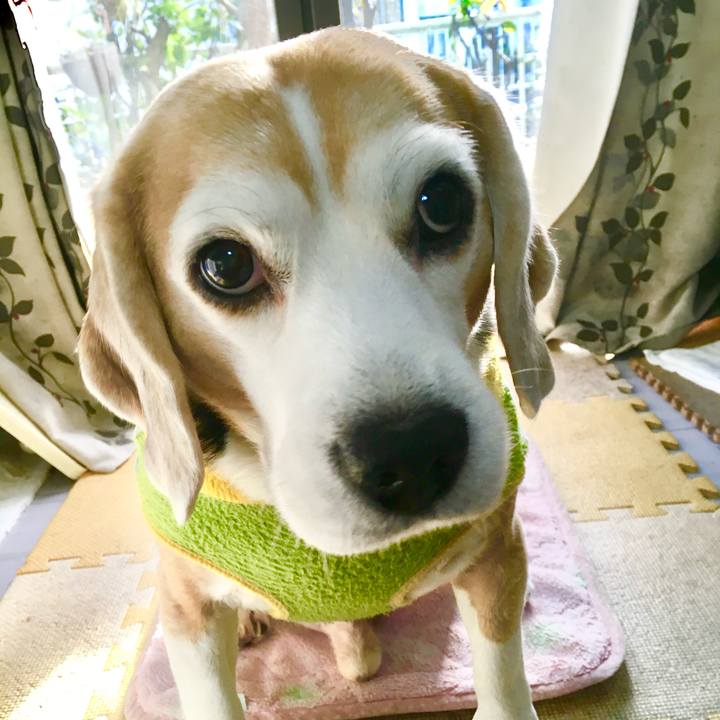 594e2f67 dc02 4e55 8ce6 70c181c11685 1768828409490