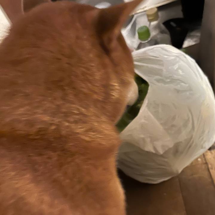 594e6a20 9d5b 41c6 83dc cdcec57b4b51 1635390714678