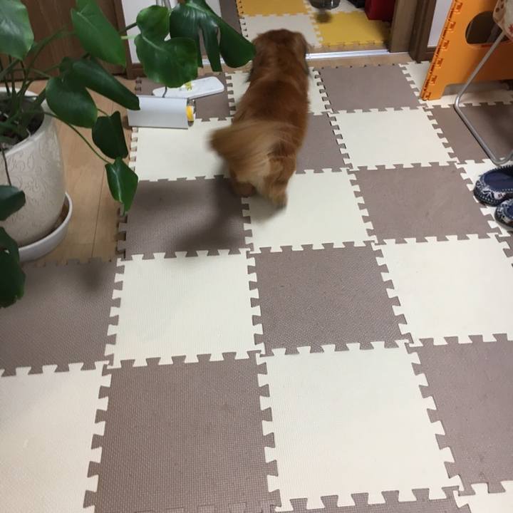 594e717f 70ae 4fdb 8306 7cbd5020e481 1558017975700