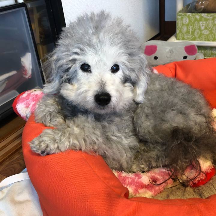 594e7579 781d 47ef a99d 8f4e9dd5da65 1553641841387