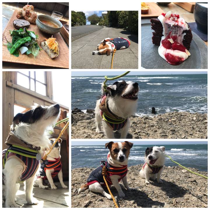 594e8c88 6f44 429f a8f7 69f049132631 1523161216080