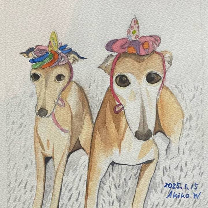 594e92ea 2cc5 4cee 865a 589ea2184e28 1771898348418